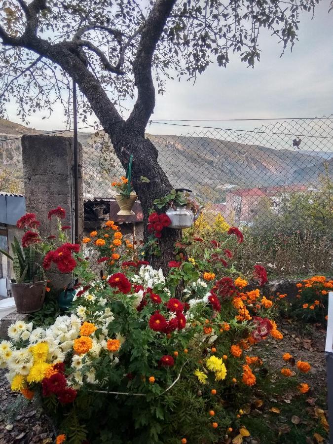 Nnn Guest House Goris Exterior photo